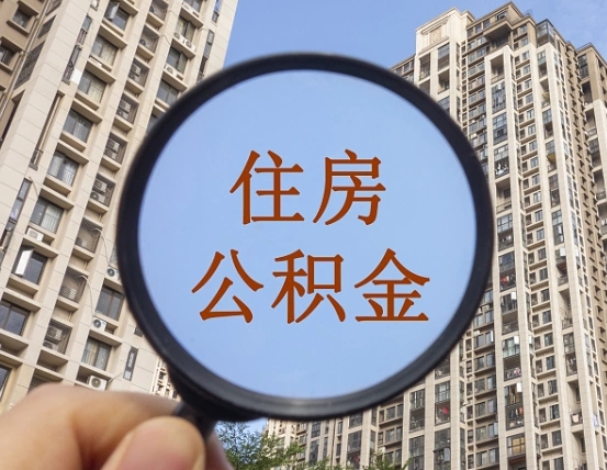 通辽退休后查不到公积金明细了吗（退休后公积金查询不到原因）